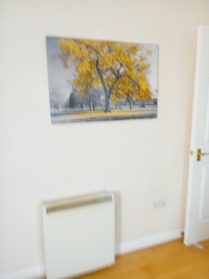 Ensuite Double Séjour chez l'habitant Londres